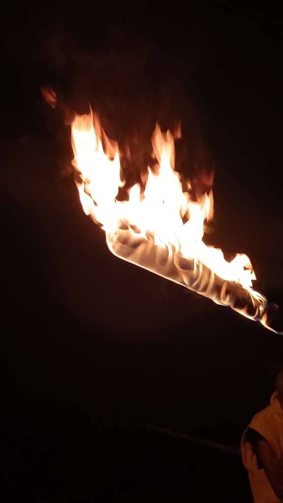 fallas de Alins