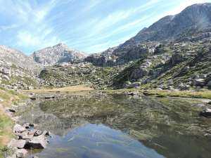 Aiguamolls de Guiló