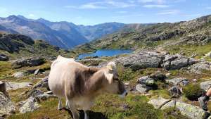 Estany de Guiló