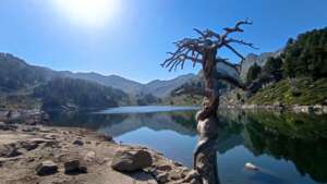 Estany de Baish de Baciver