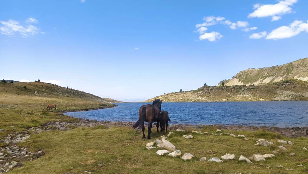 Ruta als Estanys de Baciver